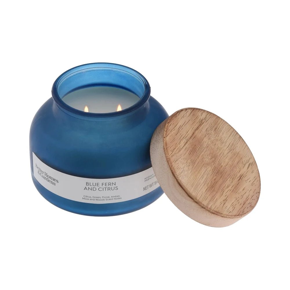 2 Wick Jar Blue Fern Citrus Scented Candle - Hans Lumiere