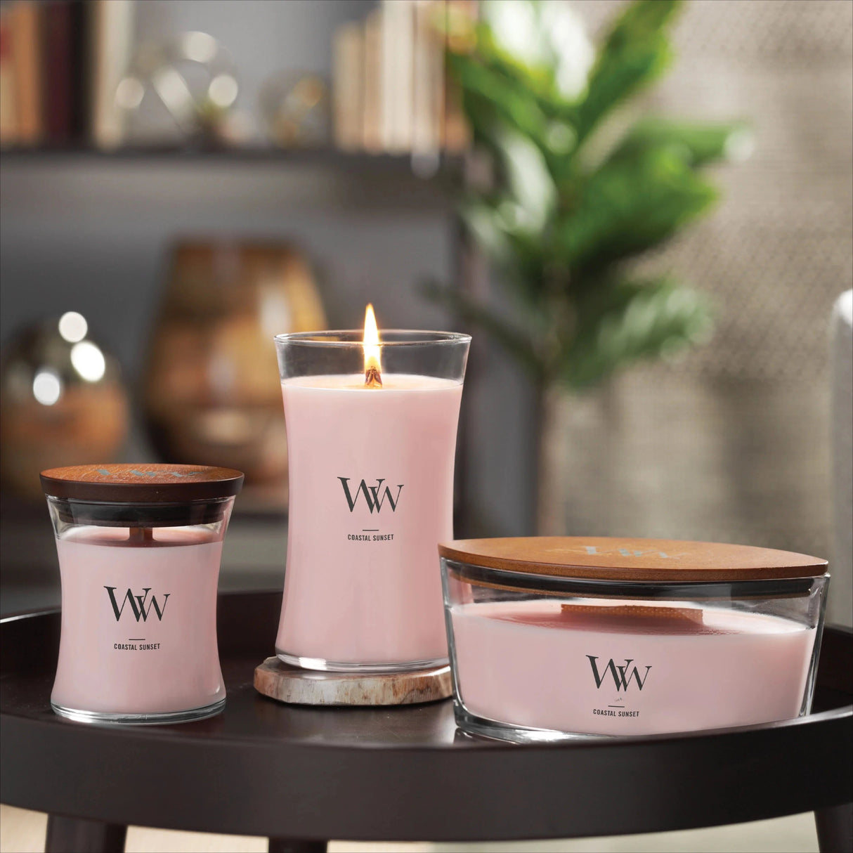 Ellipse Scented Candle, Fireside, 16 oz - Hans Lumiere