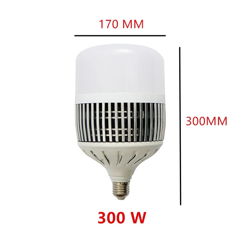 High Power LED Globe Bulb 80W to 300W, E26 E27 E39 E40 B22, for Warehouses & Workshops - Hans Lumiere