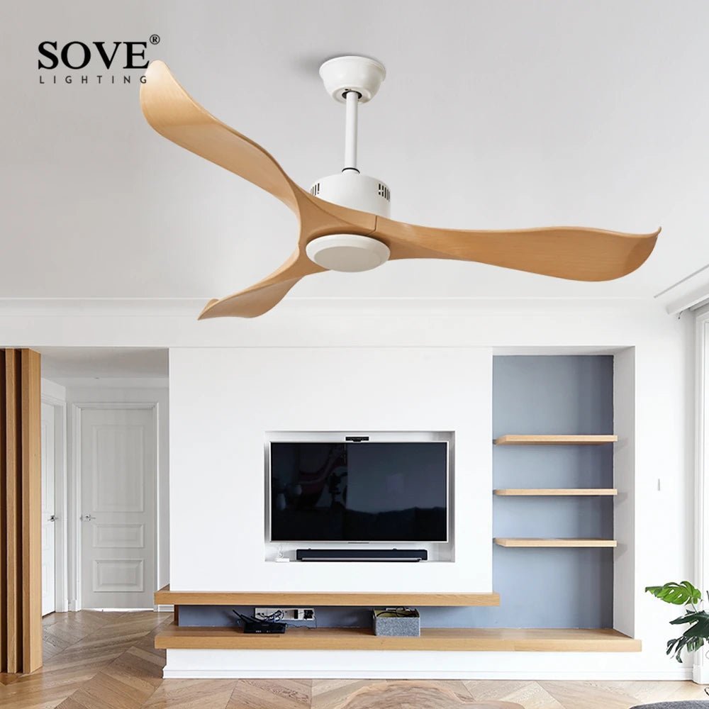Modern Plastic Blade Ceiling Fan With Remote Control - Hans Lumiere