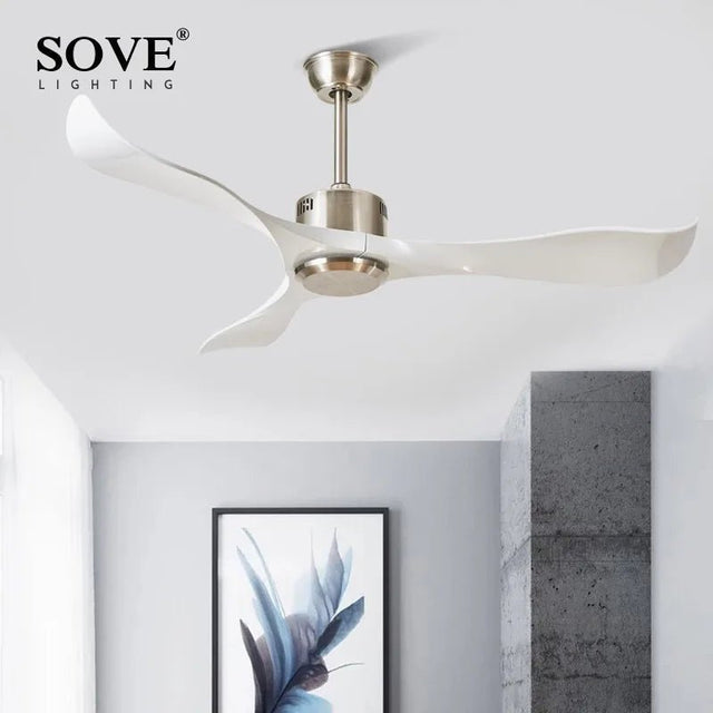 Modern Plastic Blade Ceiling Fan With Remote Control - Hans Lumiere