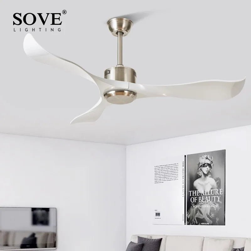 Modern Plastic Blade Ceiling Fan With Remote Control - Hans Lumiere