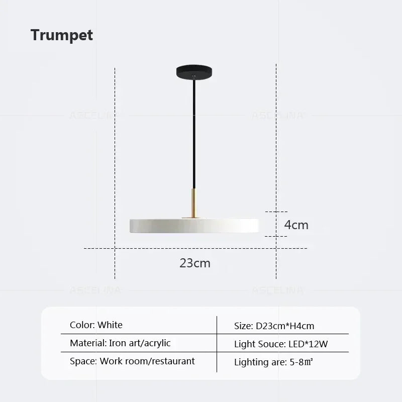 Nordic Disc Pendant Light – LED Hanging Fixture, 23–40cm - Hans Lumiere
