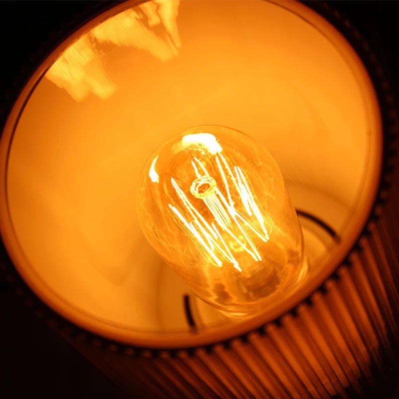 Retro Incandescent Edison Bulbs - Hans Lumiere