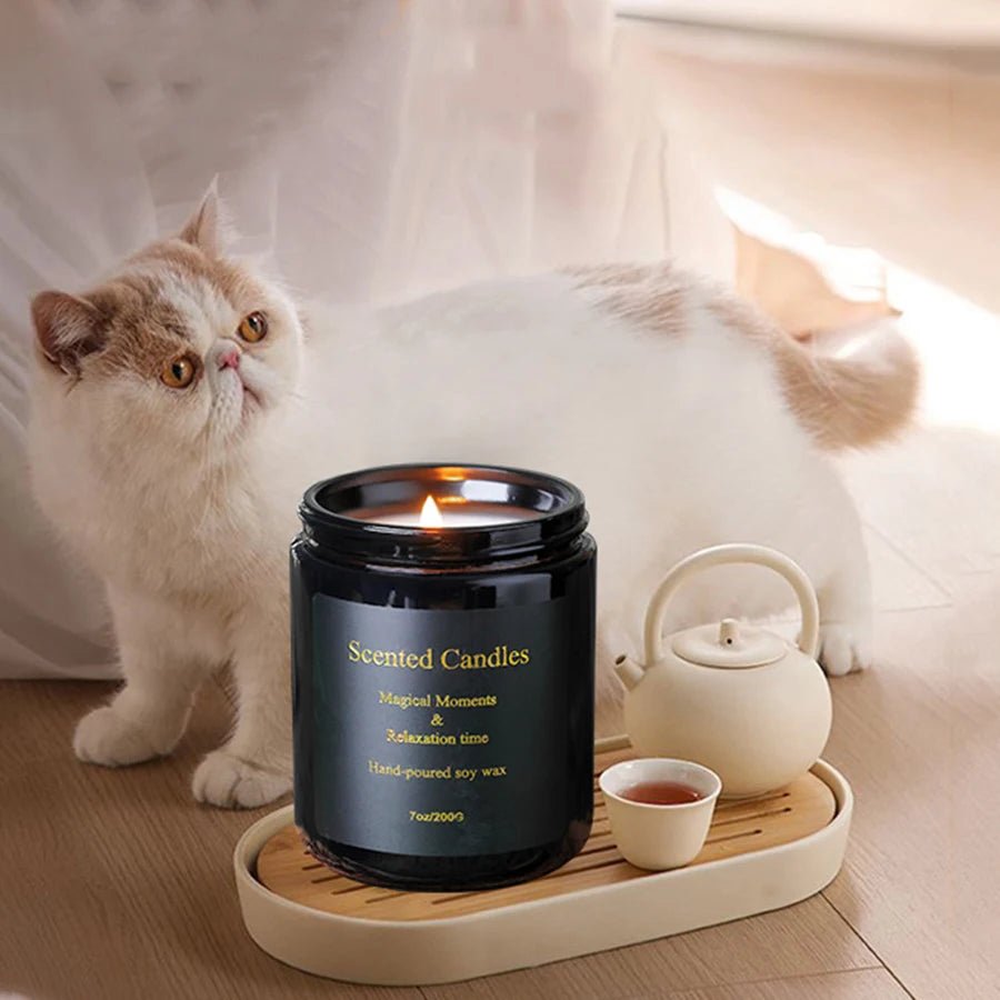 Soy Wax Handmade Smokeless Aromatherapy Candles - Hans Lumiere