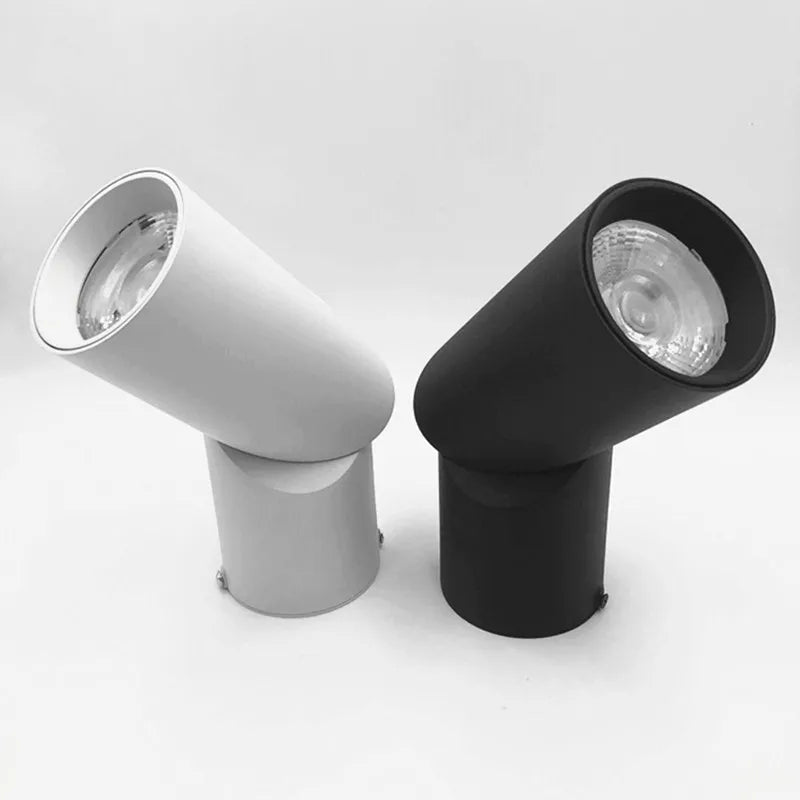Surface Mounted Dimmable LED Downlights - Hans Lumiere