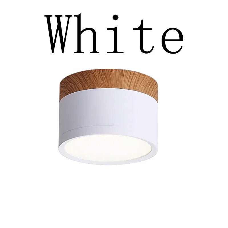 Surface Mounted LED Ceiling Downlight - Hans Lumiere