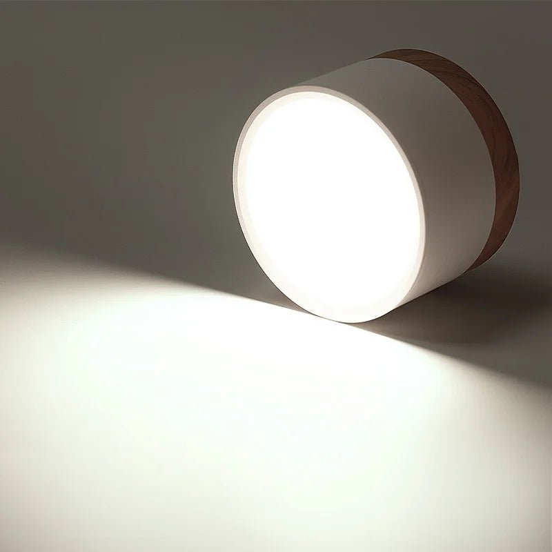 Surface Mounted LED Ceiling Downlight - Hans Lumiere