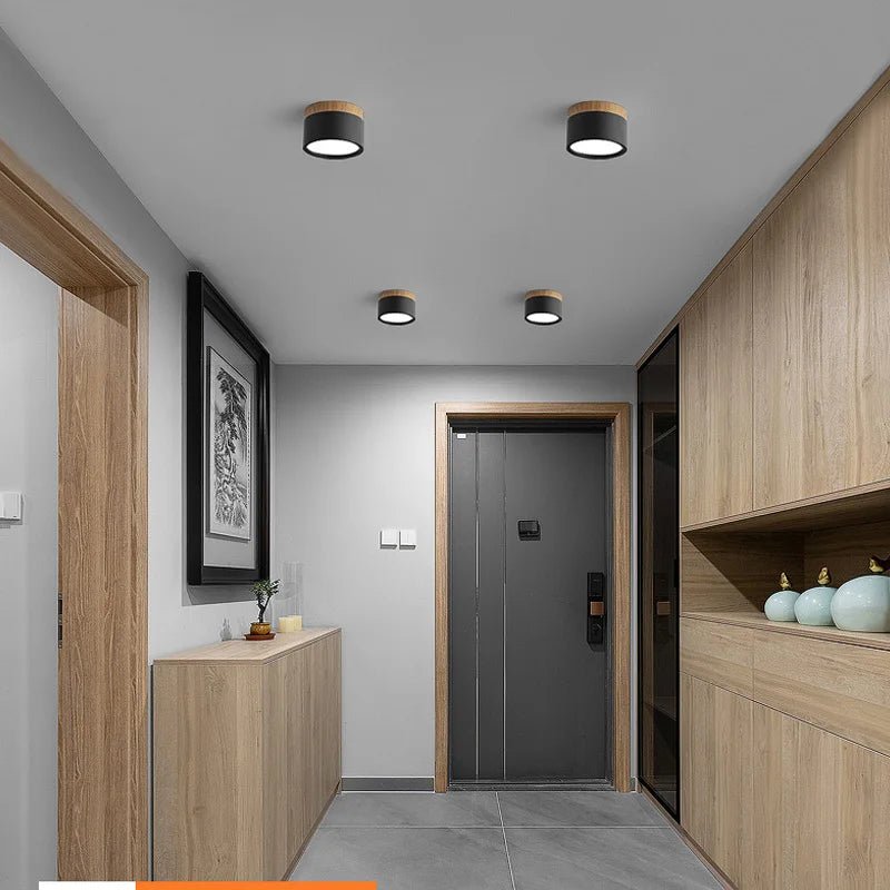 Surface Mounted LED Ceiling Downlight - Hans Lumiere