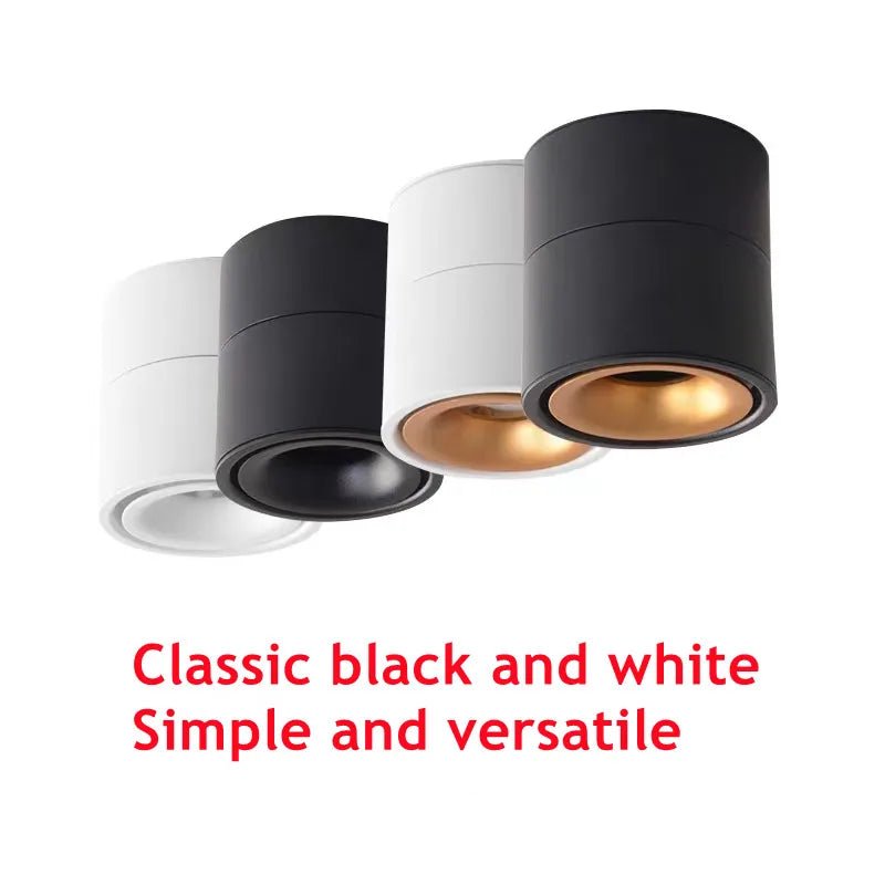 Surface Mounted Rotating Anti Glare Dimmable LED Downlight - Hans Lumiere