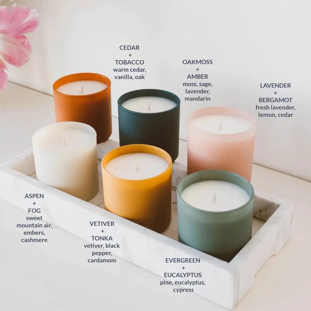 The Dignity Series Set of 6 Aromatherapy Soy Scented Candle Set - Hans Lumiere