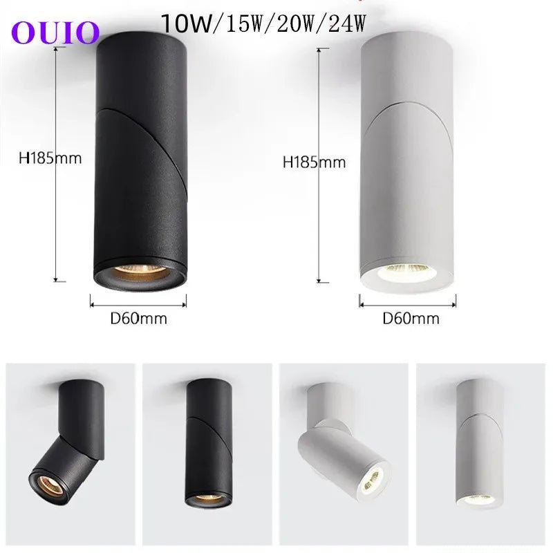 Tricolor Surface Mounted Anti Glare LED Downlight - Hans Lumiere