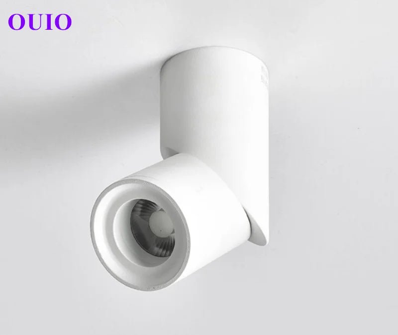 Tricolor Surface Mounted Anti Glare LED Downlight - Hans Lumiere