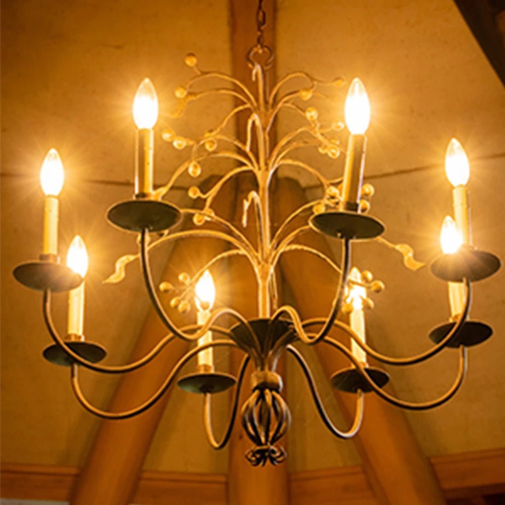 Vintage Edison LED Filament Light Bulbs - Hans Lumiere
