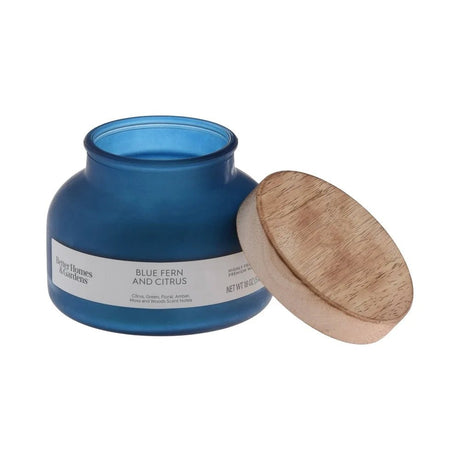 2 Wick Jar Blue Fern Citrus Scented Candle - Hans Lumiere