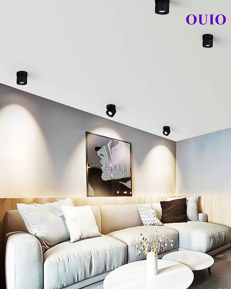 360° Rotatable Dimmable LED Surface Mounted Ceiling Lamp Spotlight - Hans Lumiere