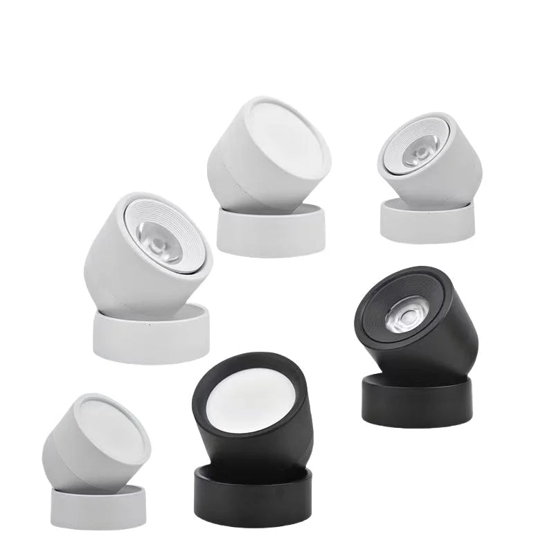 360° Rotatable Dimmable LED Surface Mounted Ceiling Lamp Spotlight - Hans Lumiere