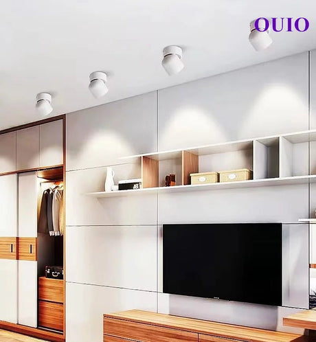 360° Rotatable Dimmable LED Surface Mounted Ceiling Lamp Spotlight - Hans Lumiere