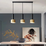 Nordic Modern Gold Chandelier Pendant Light