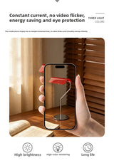 Nordic Minimalist Multifunction LED Desk & Bedside Lamp