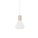 Modern Dome Pendant Light — Black & White, Dimmable LED