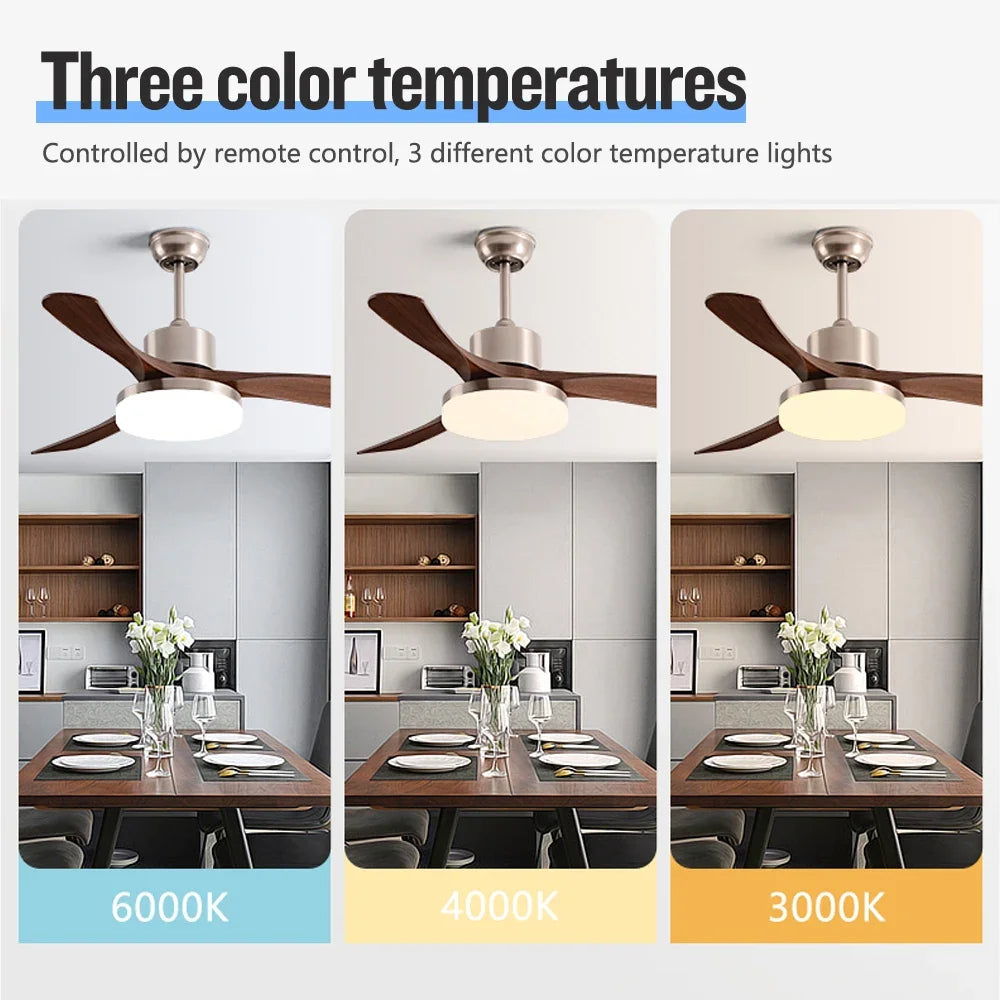 Modern DC Ceiling Fan with LED Light and Remote Control