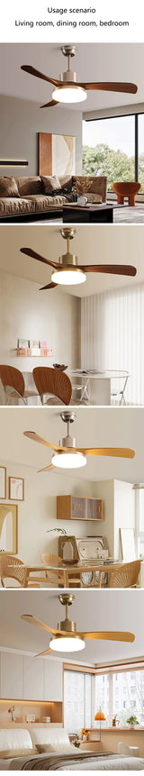 Modern DC Ceiling Fan with LED Light and Remote Control