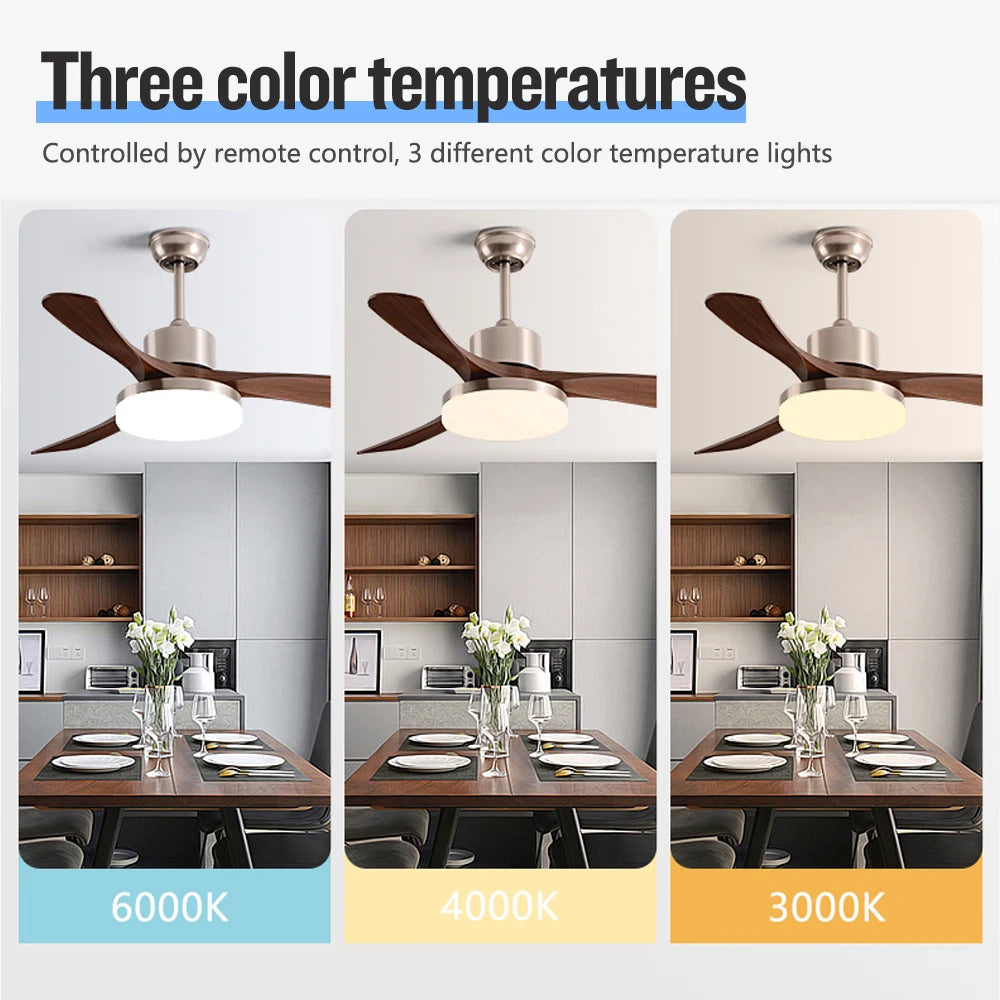Modern DC Ceiling Fan with LED Light and Remote Control