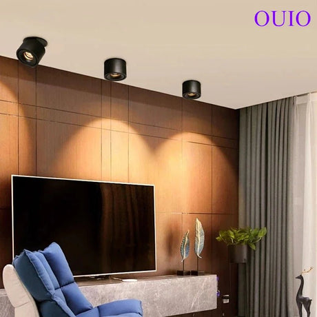 Adjustable Dimmable Recessed COB LED Downlights - Hans Lumiere