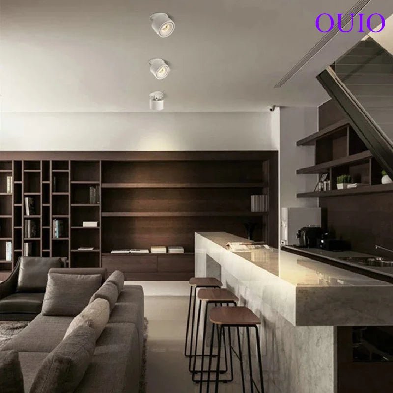 Adjustable Dimmable Recessed COB LED Downlights - Hans Lumiere