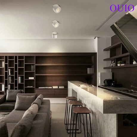 Adjustable Dimmable Recessed COB LED Downlights - Hans Lumiere