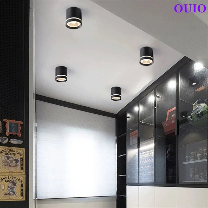 Anti-Glare Cylinder LED Downlight – Dimmable COB Ceiling Spotlight - Hans Lumiere