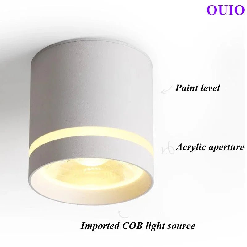 Anti-Glare Cylinder LED Downlight – Dimmable COB Ceiling Spotlight - Hans Lumiere