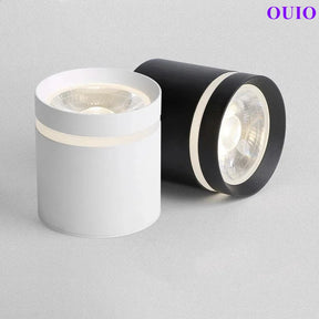 Anti-Glare Cylinder LED Downlight – Dimmable COB Ceiling Spotlight - Hans Lumiere