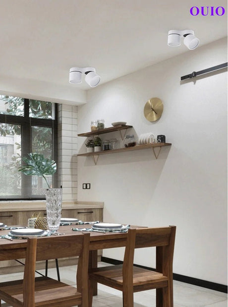 Dimmable Folding Rotating LED Downlight - Hans Lumiere