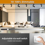 Dimming LED Track Light COB Spotlights - Hans Lumiere