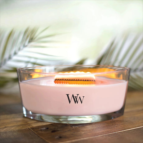 Ellipse Scented Candle, Fireside, 16 oz - Hans Lumiere