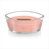 Ellipse Scented Candle, Fireside, 16 oz - Hans Lumiere