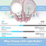 G25 LED Vanity Globe Bulbs, 60W Equivalent, 5000K Daylight, E26 - Hans Lumiere