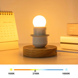 G40 Frosted Globe Edison LED Filament Bulbs B22 Bayonet 1.5W 2700K Dimmable, 2-15 Pack - Hans Lumiere