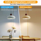 G45 Frosted Globe Edison LED Filament Bulbs E14 5W, Warm 3000K or Cool 6000K, 6 Pack - Hans Lumiere