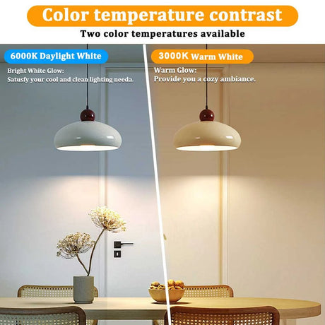 G45 Frosted Globe Edison LED Filament Bulbs E14 5W, Warm 3000K or Cool 6000K, 6 Pack - Hans Lumiere