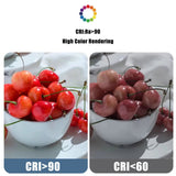 G80 G95 G125 Milky Globe LED Bulbs E27 10W 15W 18W, Warm Neutral or Cool White, 1-5 Pack - Hans Lumiere