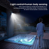 LED Solar Motion Sensor Garden Landscape Spotlight - Hans Lumiere