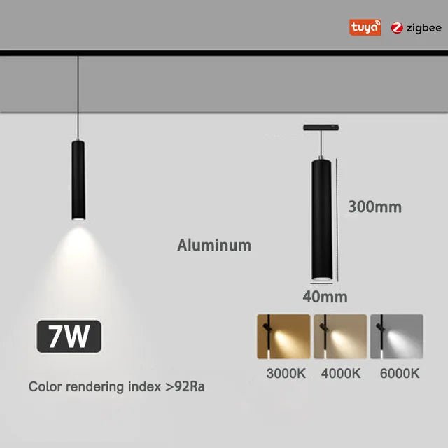 LED Track Lights With Changeable Magnetic Rail And Tuya APP Smart Control System - Hans Lumiere