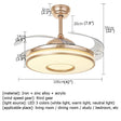 Modern Ceiling Fan Light With Remote Control - Hans Lumiere