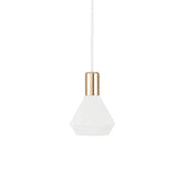 Modern Dome Pendant Light — Black & White, Dimmable LED - Hans Lumiere
