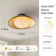 Modern Lampara Room Decoration LED Ceiling Light - Hans Lumiere