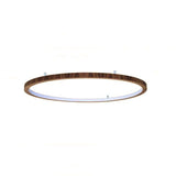 Modern LED Ceiling Light - Hans Lumiere