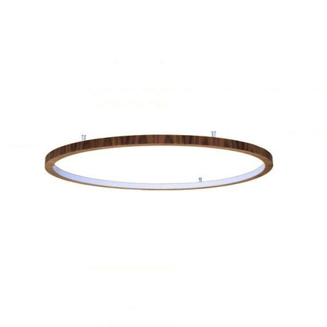 Modern LED Ceiling Light - Hans Lumiere